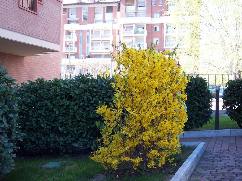 B&B Il Parco Парма Экстерьер фото